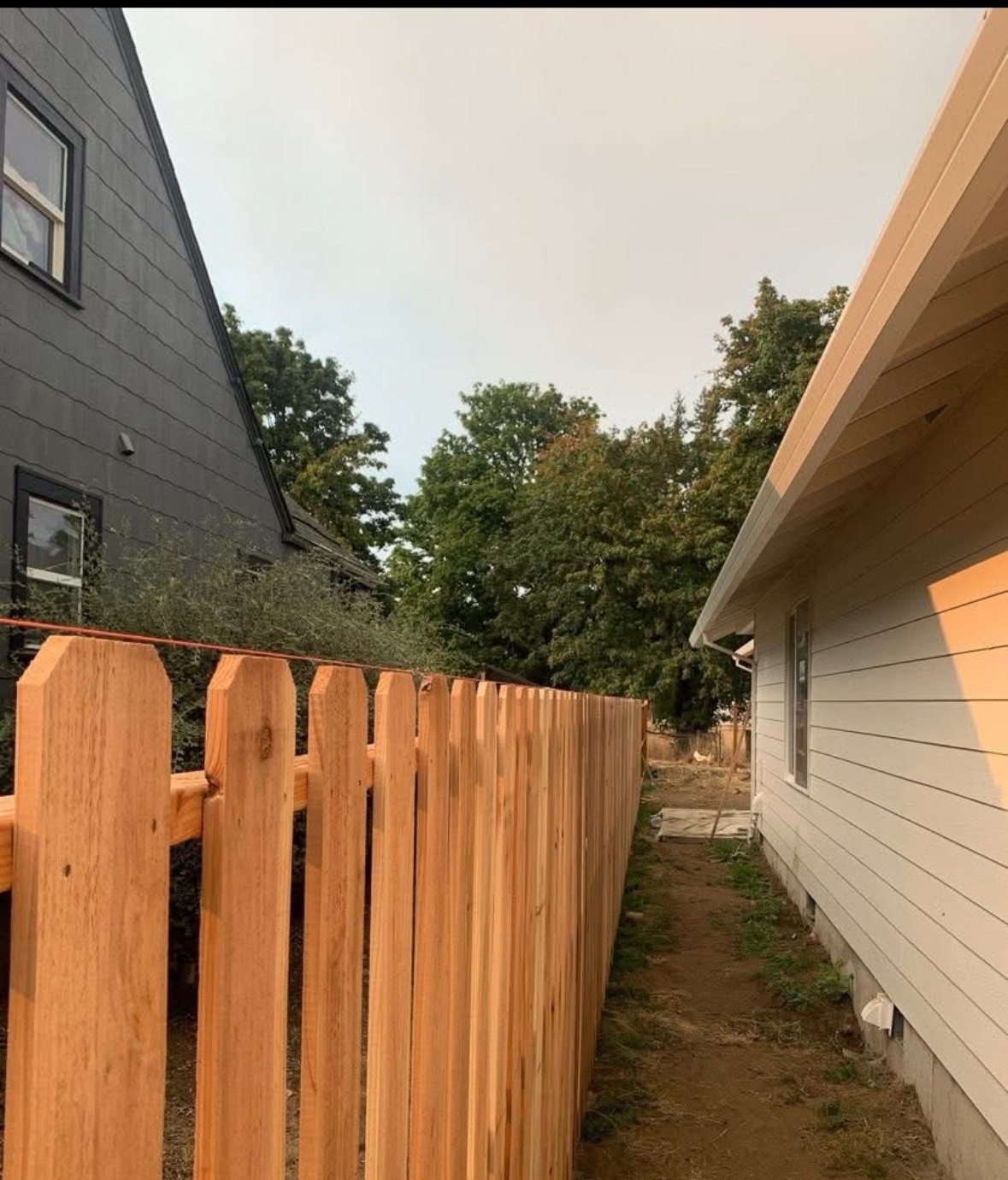 Cedar fence line with a walk gate set into the run